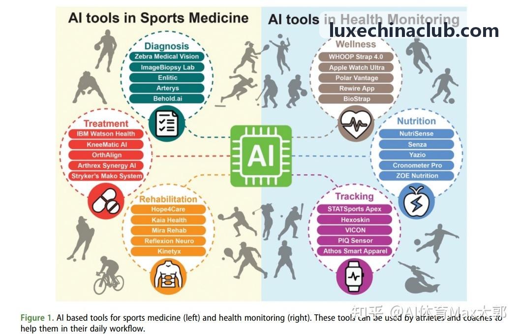 竞技体能监测与科学训练方案